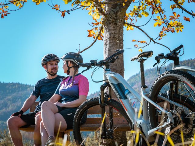 Landhaus Tirolerherz