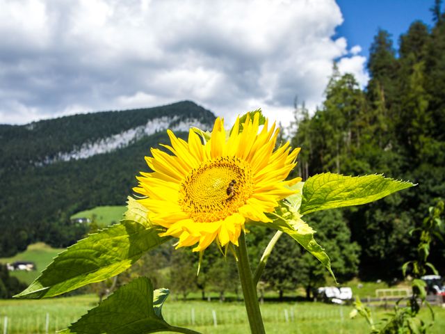 Almhütte Hühnerstall