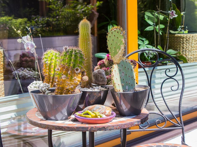 Ferienwohnungen Heigl - Pedratscher