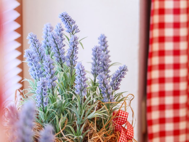 Ferienwohnungen Heigl - Pedratscher