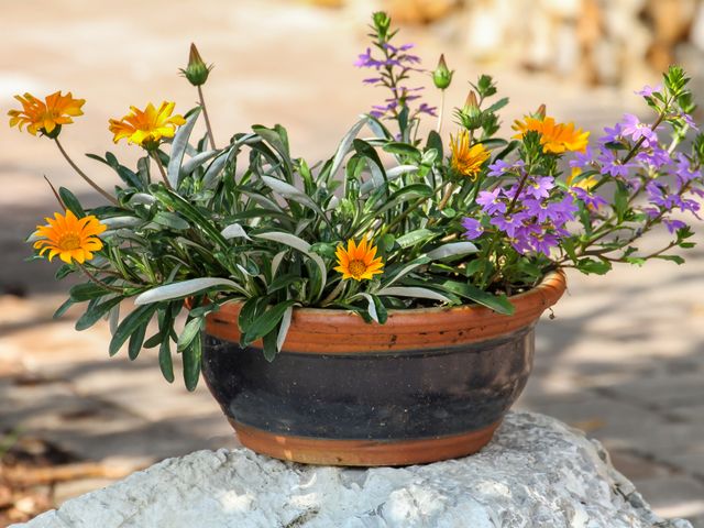 Ferienwohnung Kuhstall