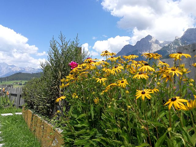 Ferienwohnungen auf dem Lankmannbauernhof