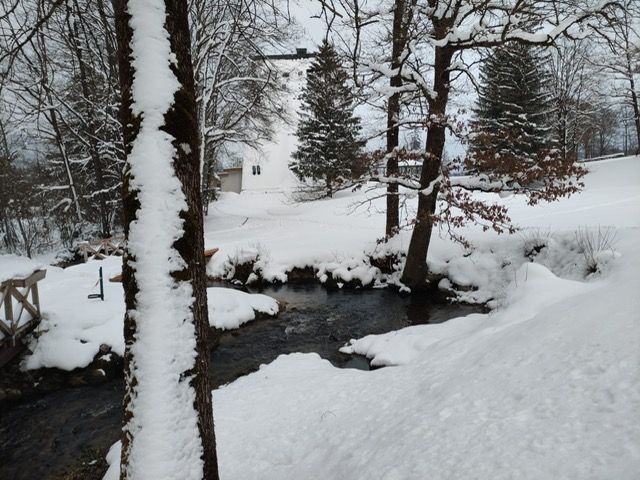 Ferienwohnungen im Golfhotel Bad Ischl